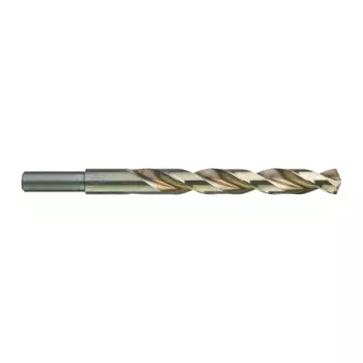 Wiertło HSS - G Thunderweb 12,5 mm | 4932352372
