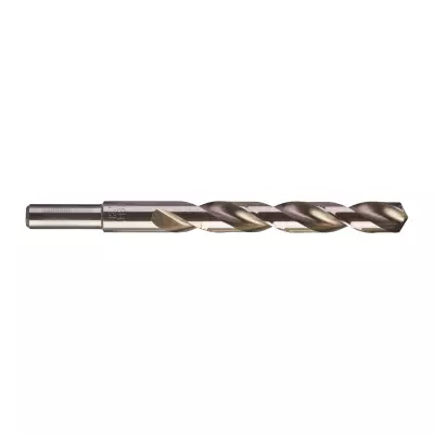 Wiertło HSS - G Thunderweb 12,5 (5 szt.) | 4932352404