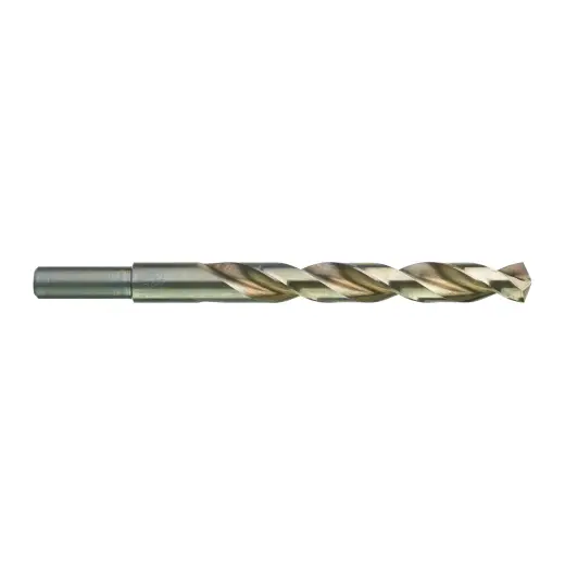 Wiertło HSS - G Thunderweb 12,5 mm | 4932352372