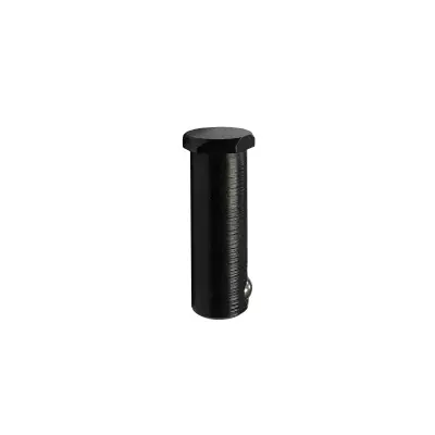 Oś kółka tnącego do LOGO PTC 6-76 i TC INOX