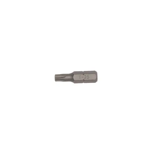 Grot Torx TPx25 długość 25 mm (3 szt.)