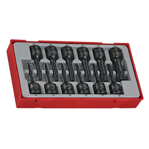 12-elementowy zestaw grotów maszynowych TX Teng Tools TT9212TX