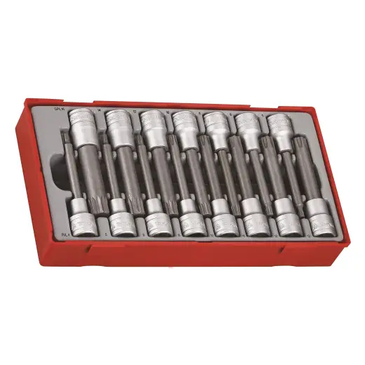 15-elementowy zestaw nasadek trzpieniowych typu Ribe i XZN, z chwytem kwadratowym 1/2" Teng Tools TTRS15