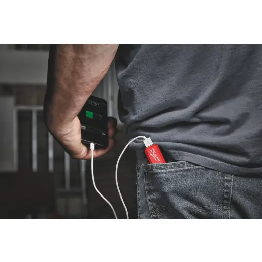 L4PPS - 301 REDLITHIUM USB Zestaw startowy | 4932493335